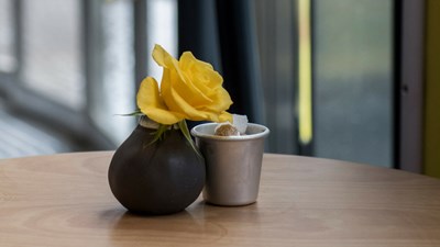 Untitled design (7).jpg